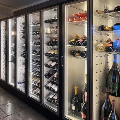 Product image for 'Wine cooling cabinets TECA VINO, black frame'