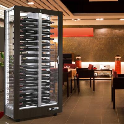Product image for 'Wine cooling cabinets TECA VINO, black frame'