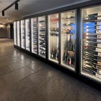 Product image for 'Wine cooling cabinets TECA VINO, black frame'