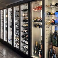 Product image for 'Wine cooling cabinets TECA VINO, black frame'