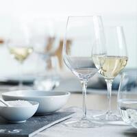 Product image for 'Spiegelau series AUTHENTIS, set of 4 (11,75 EUR/glass)'
