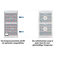 Product image for 'Single zone wine cabinet WineSafe 137'