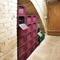 Product image for 'WINEBOX storage, plastic, red, 6 piece set'