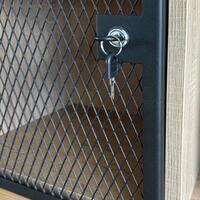 Product image for 'Grille door with lock 70x70cm'